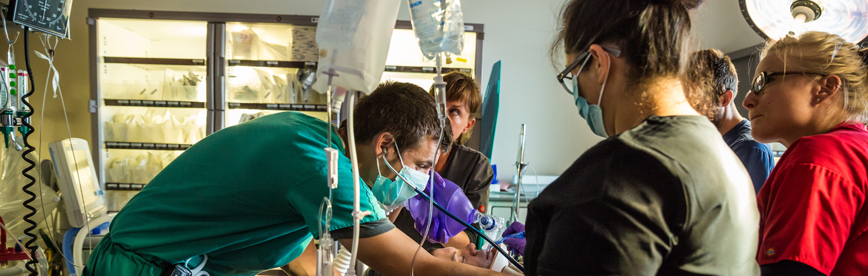 Medical staff working in ICU.